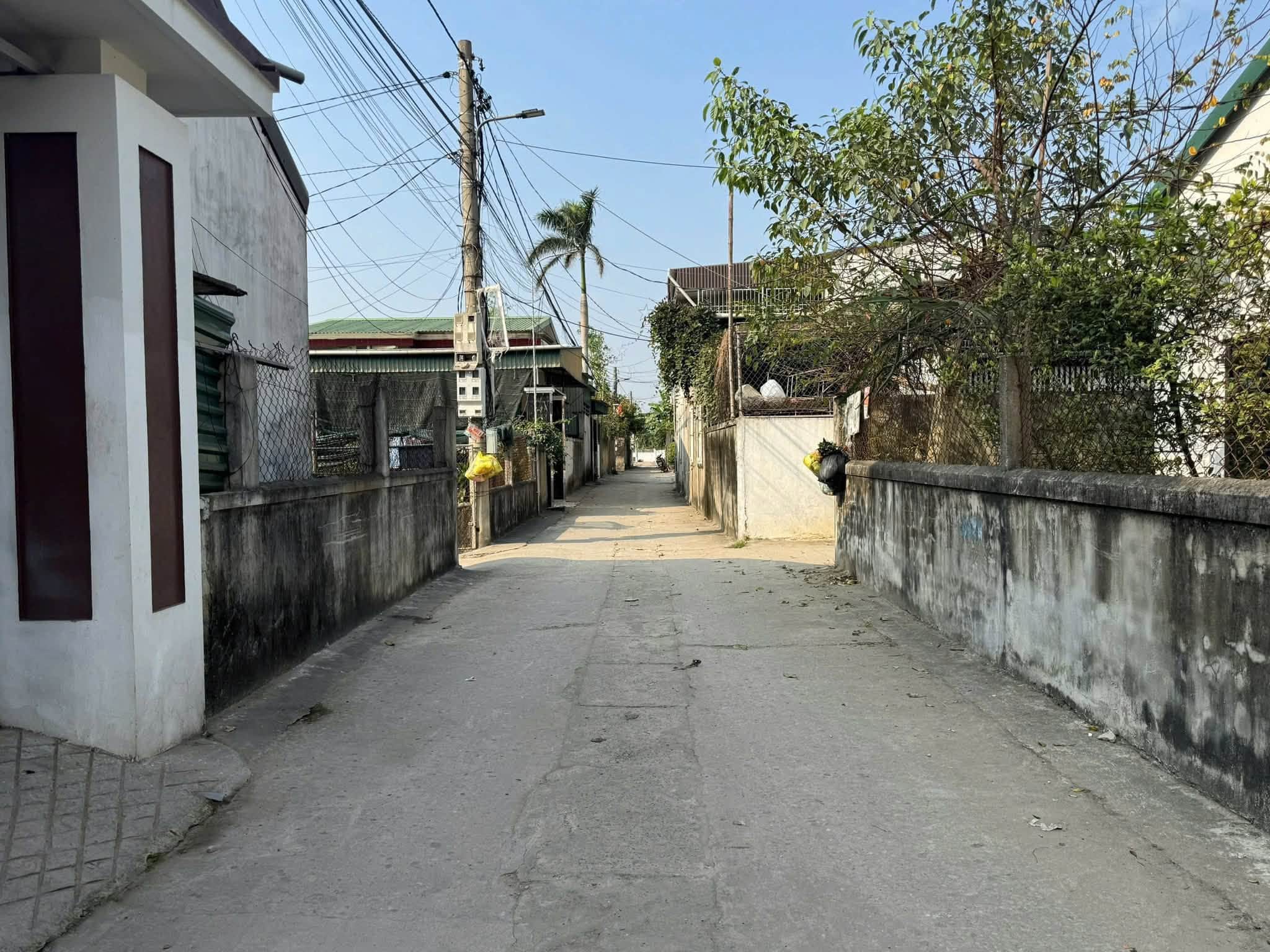 Ảnh 2 của Bán đất Hưng Đông 65m2, cách đường Đặng Thai Mai 150m, gần khu công nghiệp