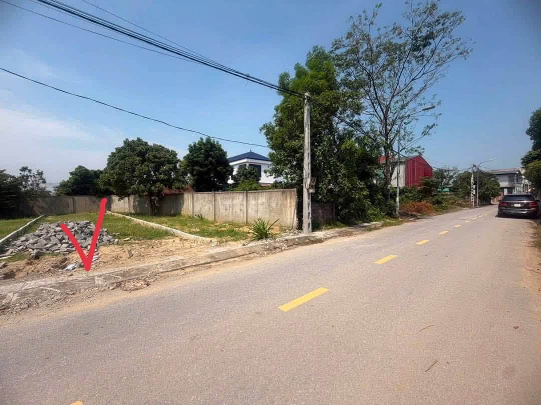 Ảnh 3 của Bán đất Hưng Lộc cũ đường nhựa 7m thông thoáng