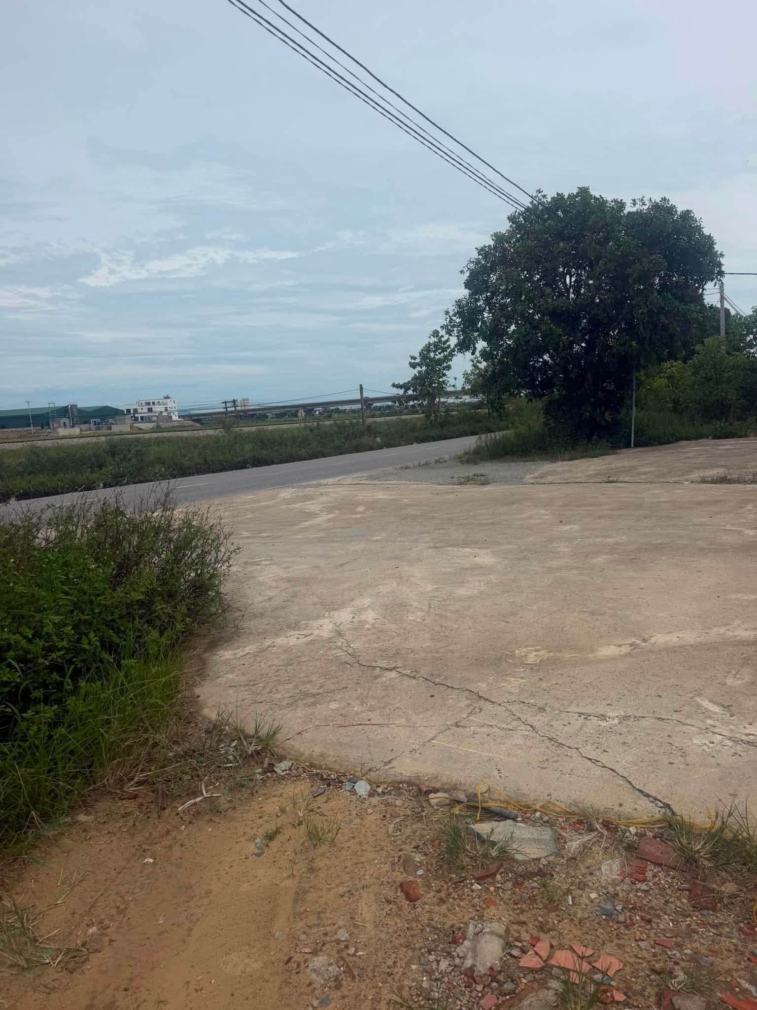 Ảnh 4 của Bán đất mặt đường 8B tại Hưng Mỹ, diện tích 167m2, đường nhựa 12m