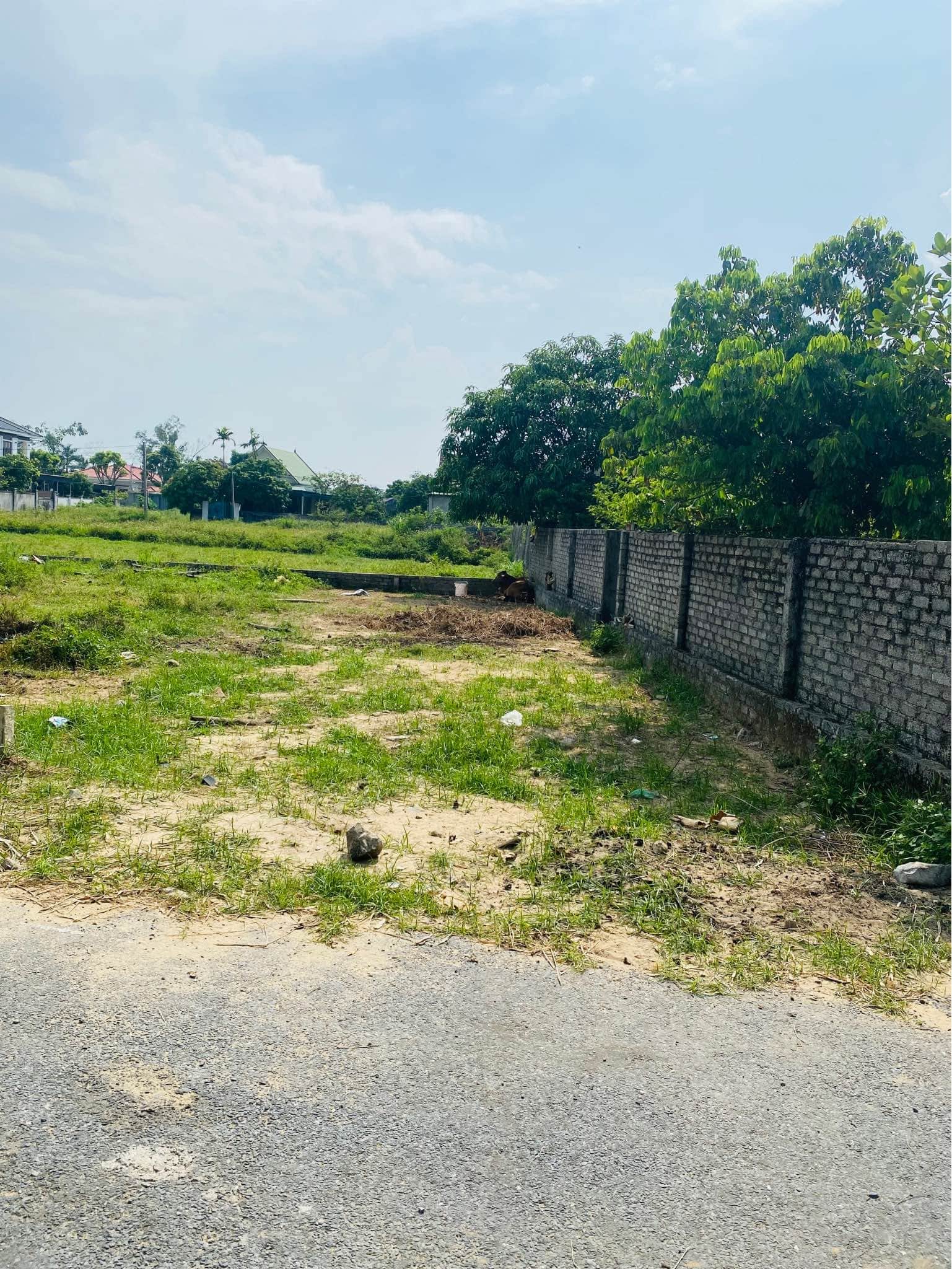 Ảnh 1 của Bán đất 88m2 tại phường Vinh Lộc, đường ô tô vào tận nơi