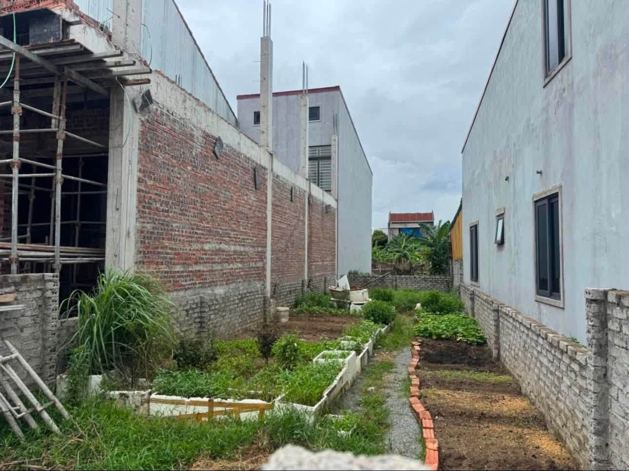 Ảnh 3 của Bán đất mặt đường Phạm Ngọc Thạch, Hưng Dũng, 97m², đường nhựa rộng