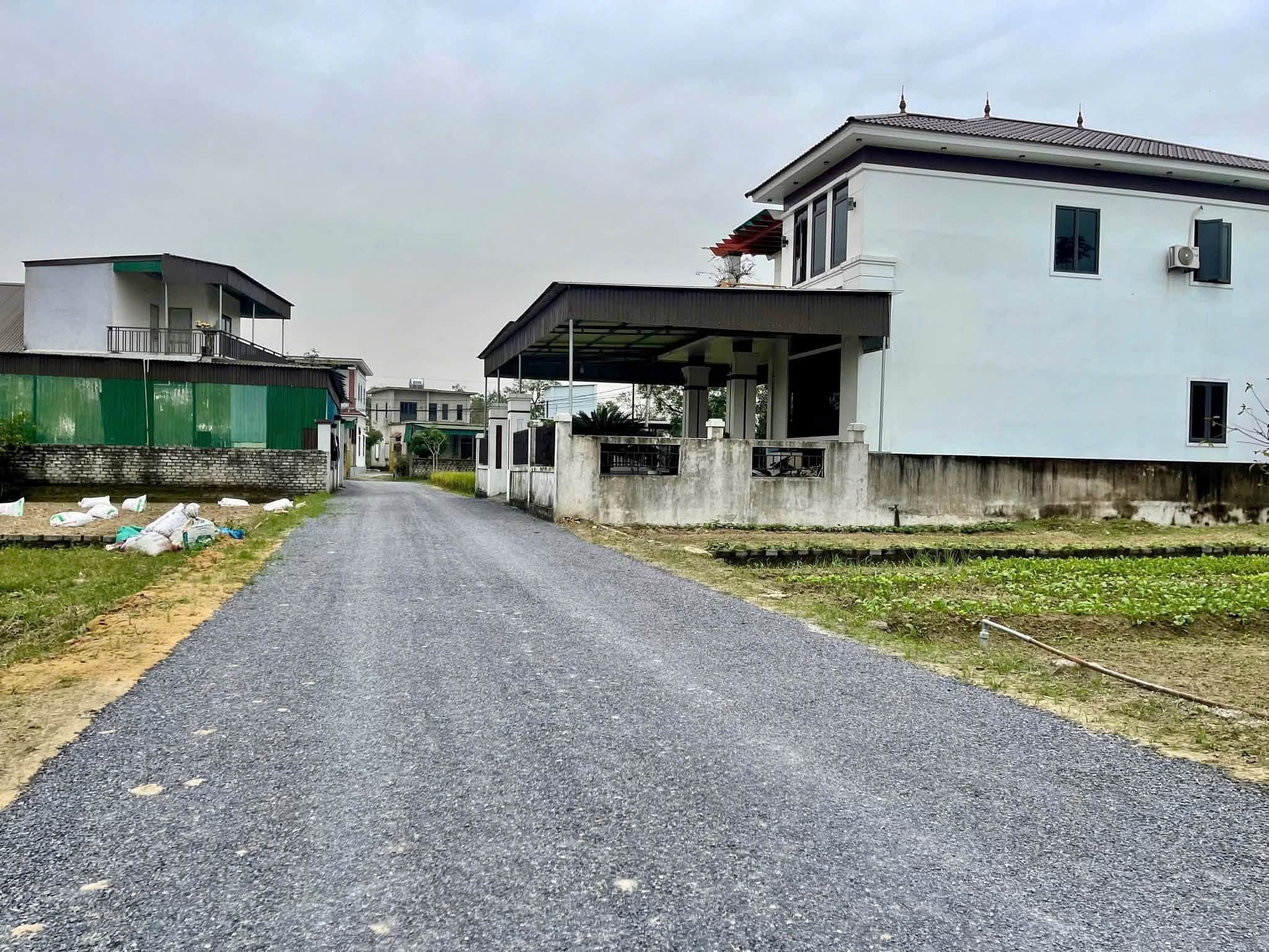 Ảnh 3 của Bán đất đường thông tại Nghi Phong, Vinh Lộc, Nghệ An