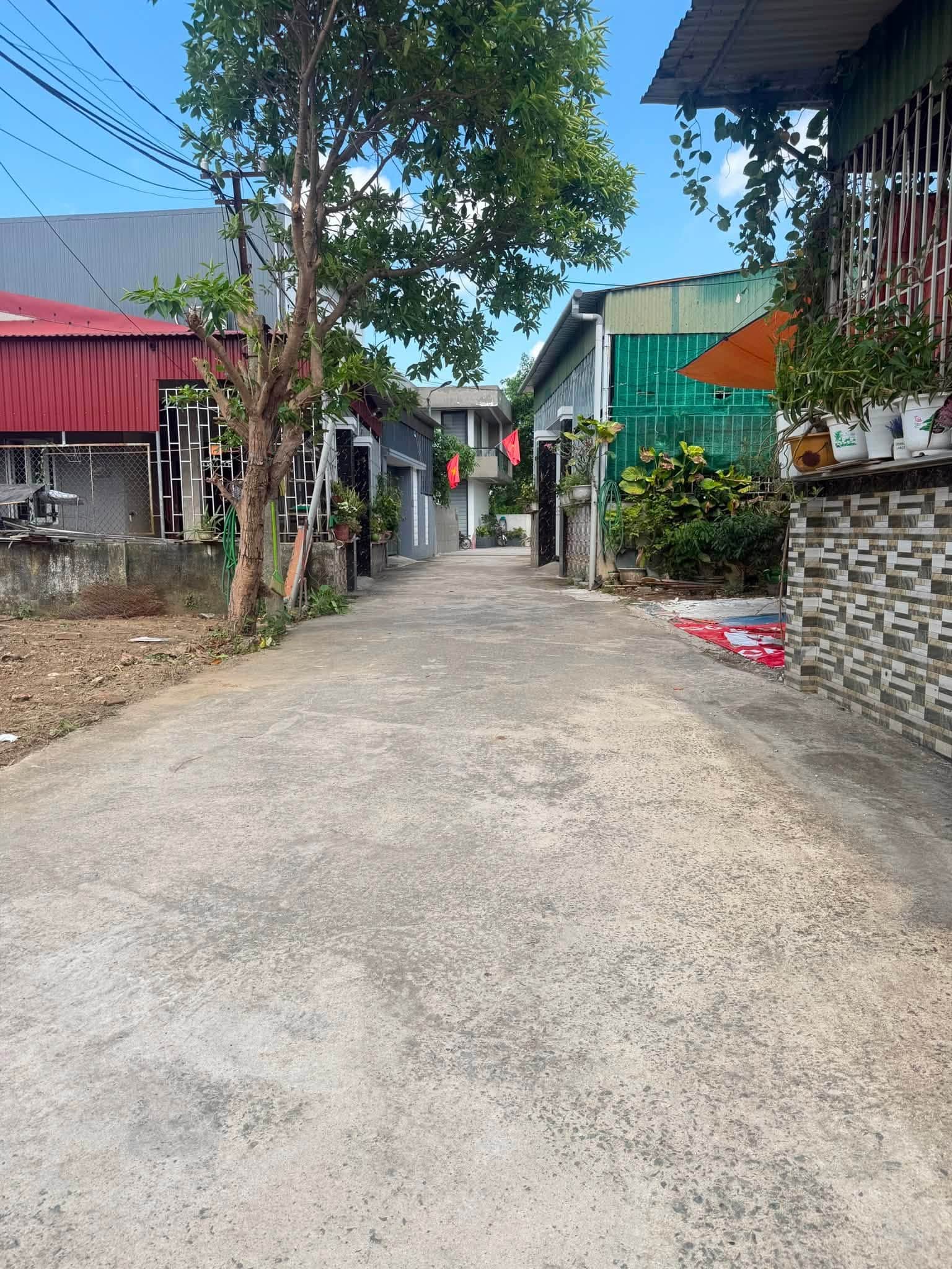 Ảnh 3 của Bán đất ngõ Siêu Hải, phường Cửa Nam (nay là Thành Vinh), Nghệ An