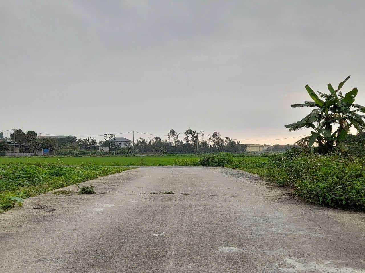 Ảnh 3 của Bán đất 165m2 tại Nghi Phong, phường Vinh Lộc, gần khu tái định cư