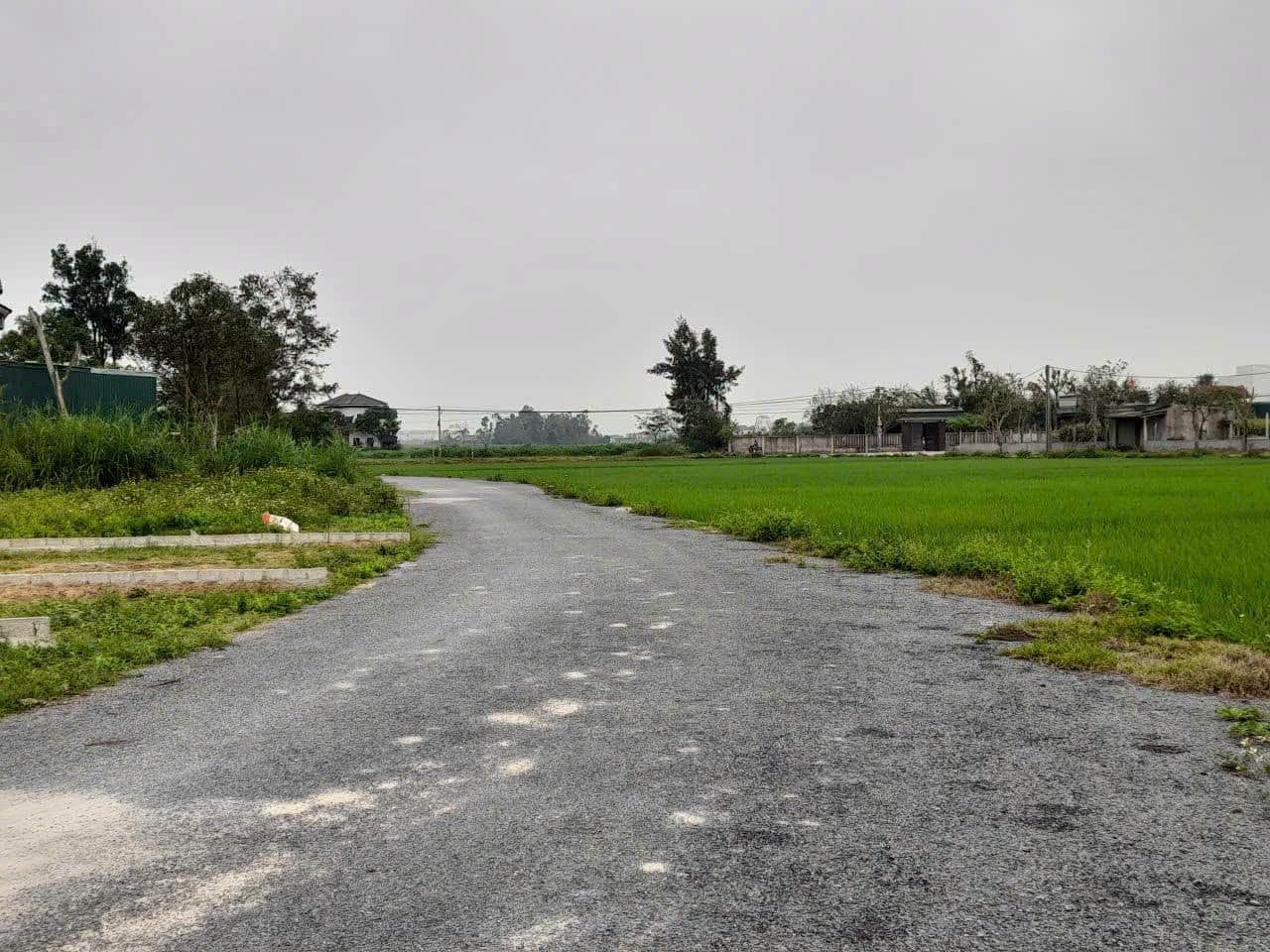 Ảnh 4 của Bán đất 165m2 tại Nghi Phong, phường Vinh Lộc, gần khu tái định cư