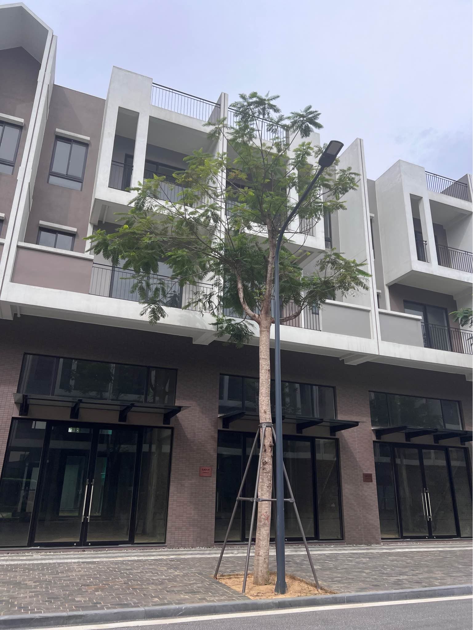 Ảnh 1 của Bán shophouse Ecopark Campus đường 18m, gần chung cư tòa P, đã có sổ đỏ