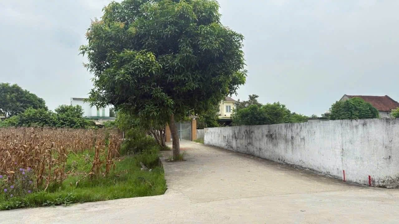 Ảnh 1 của Bán đất Nghi Đức, Vinh Phú, lối 2 Lê Ngọc Hân