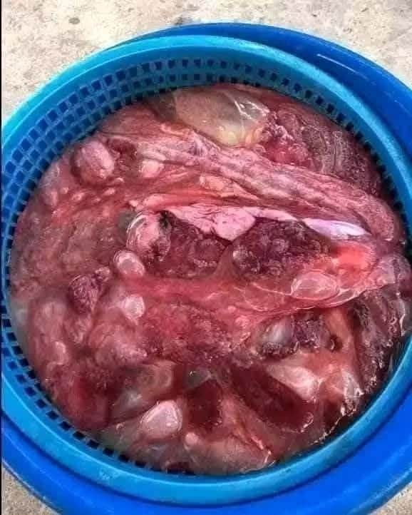 Ảnh 1 của Bán hoa bò tươi không đông lạnh tại Nghệ An